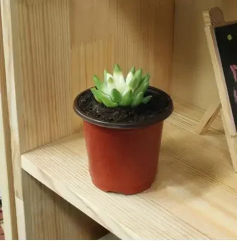 Blomsterpot plast vokseboks Fall Resistant bakke til hjemmehaveplanter Nursery Cup Transplant Flower Plant Pots D4