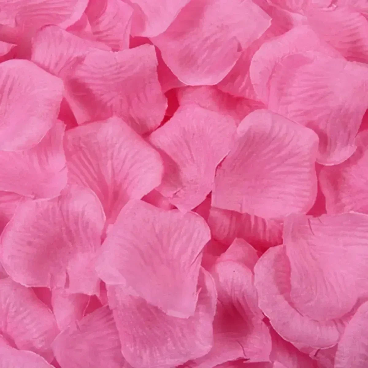 47698927059275|47698927223115|47698927419723