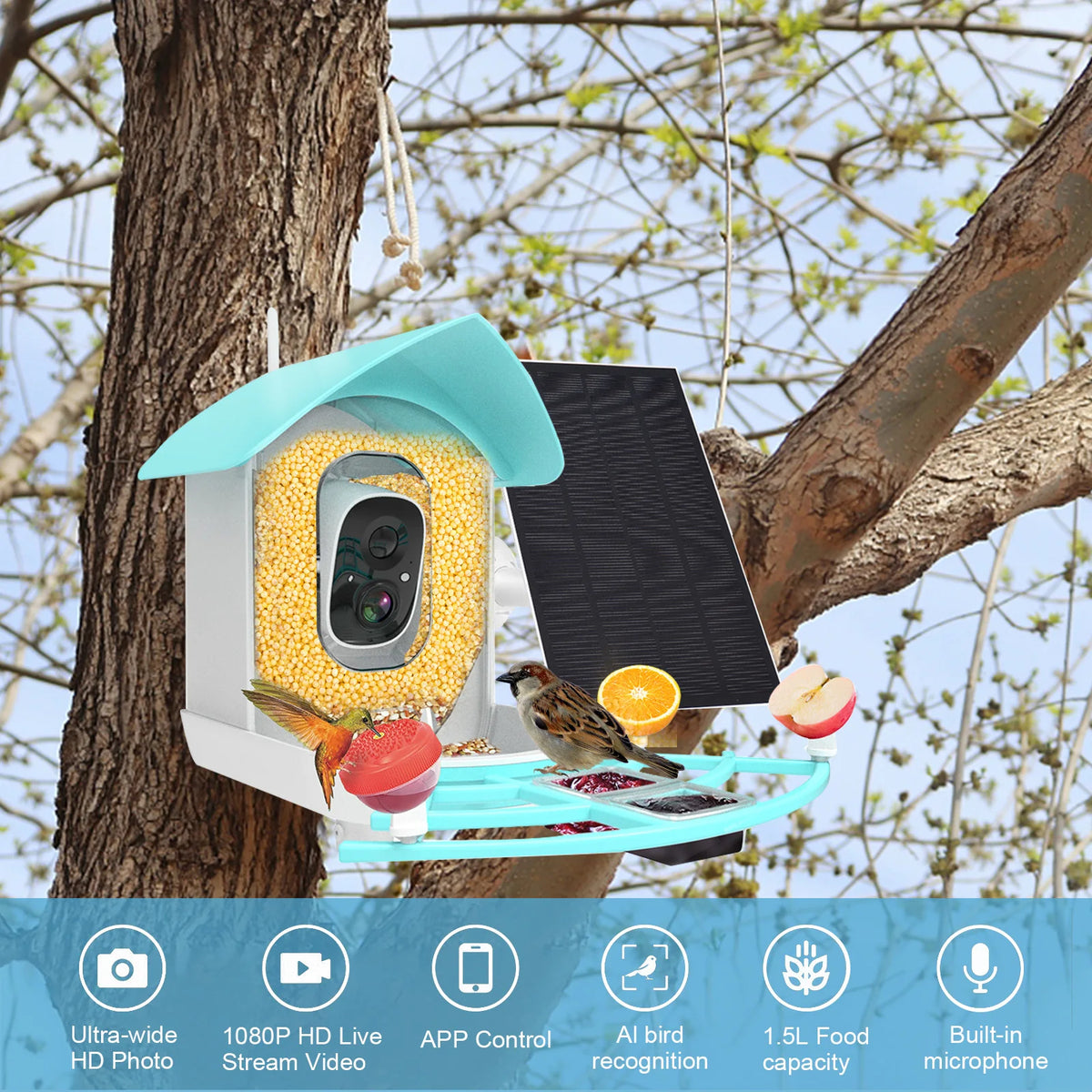Mangeoire à oiseaux intelligents avec caméra haute résolution PIR Motion Detection AI Reconnaissance Intelligent Birds Espèce solaire Solaire 1080p