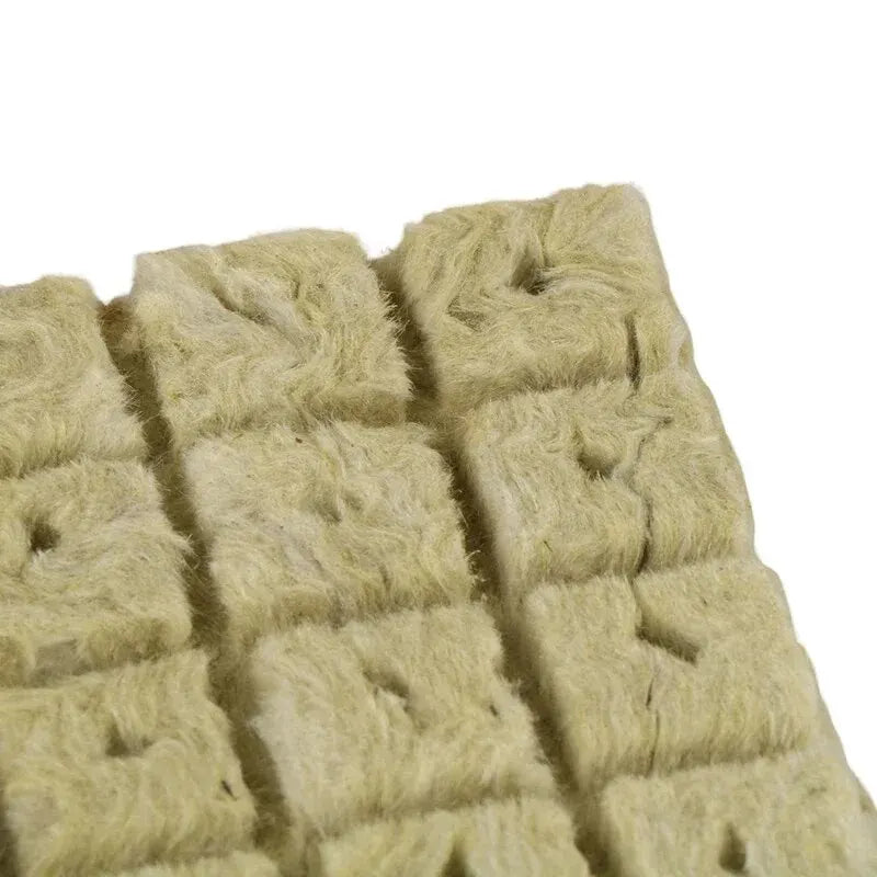 50pcs 25x25x25mm Stonewool Hydroponic Media Cubes Pflanzenwürfel Soilless Substrat ausgesät