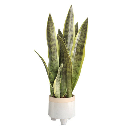 21CM-68CMArtificial Tiger Piran Plants Tropical Plastic Long Leaves Flower Arrangement Material Hotel Office Desktop Home Deco