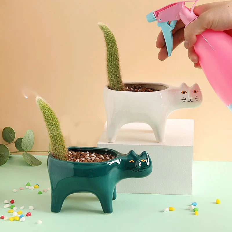 Plantas de flor de flor de cerâmica de gato de gato