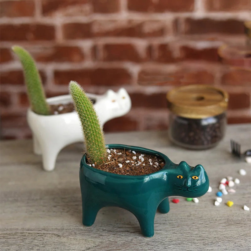 Plantas de flor de flor de cerâmica de gato de gato