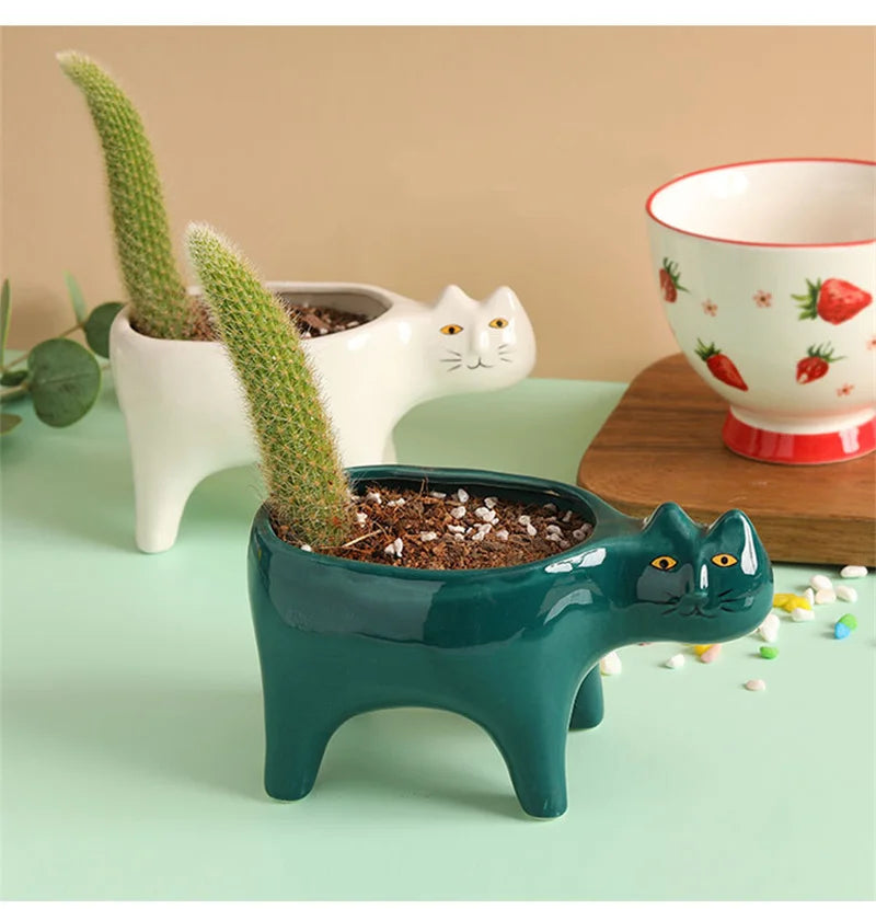 Plantas de flor de flor de cerâmica de gato de gato