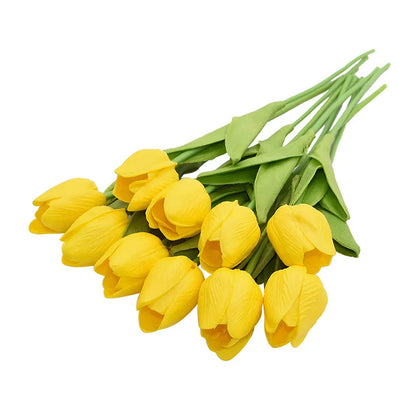 10pc