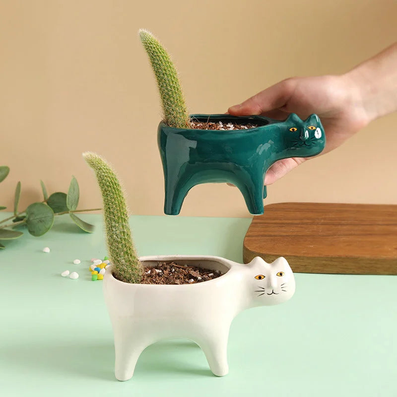 Plantas de flor de flor de cerâmica de gato de gato