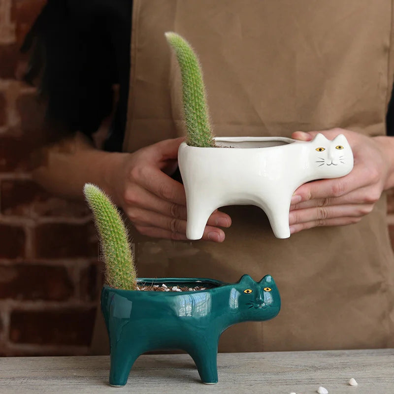 Plantas de flor de flor de cerâmica de gato de gato