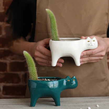 Plantas de flor de flor de cerâmica de gato de gato