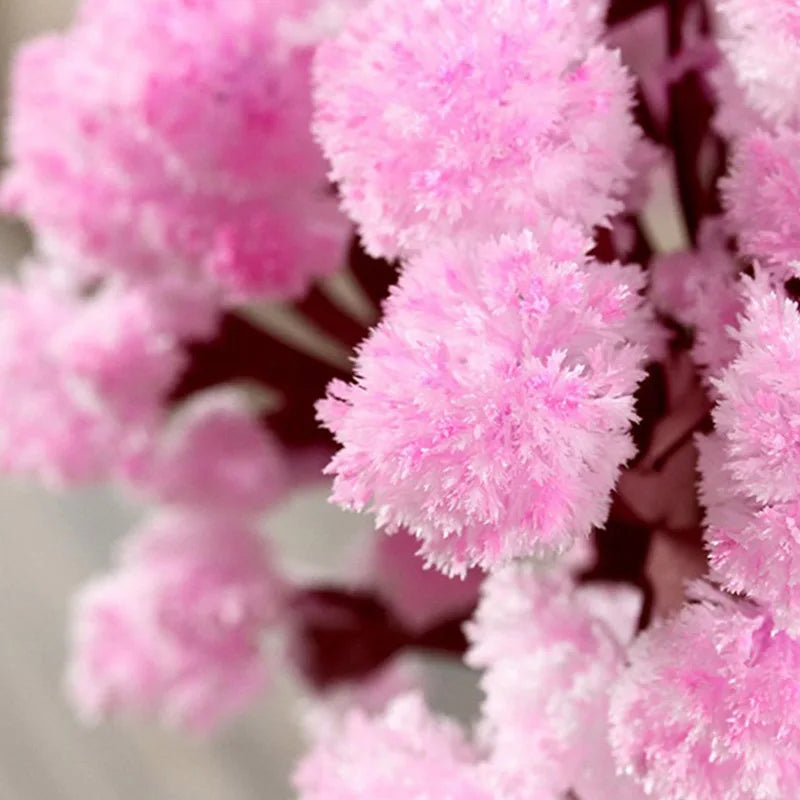 DIY CRESCENDO TRUSE TREET PAPER SAKURA CRISTAL TRES