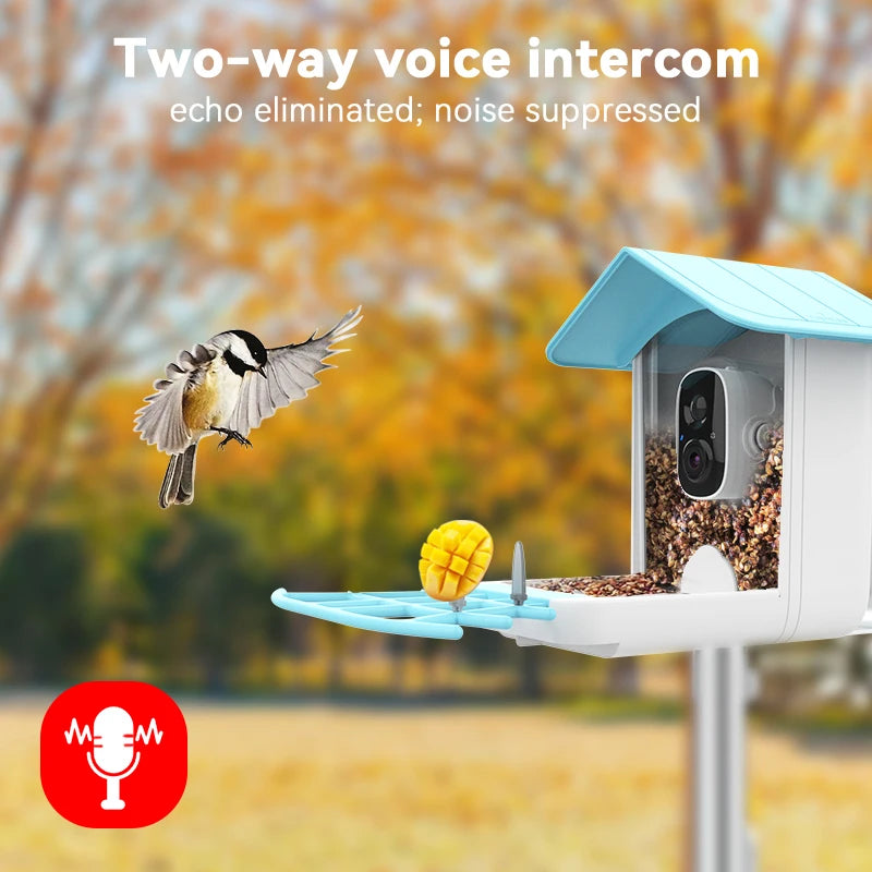 Smart Bird Eighder Camera 2.4G WiFi Wireless Outdoor HD 1080p con solare convocazione per ucciso