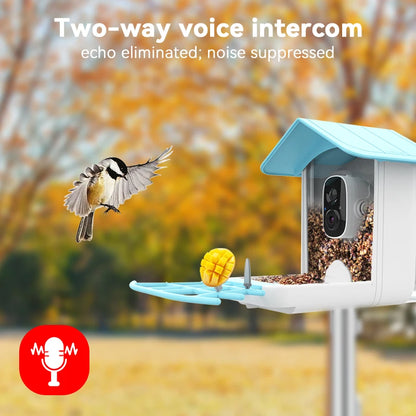 Smart Bird Eighder Camera 2.4G WiFi Wireless Outdoor HD 1080p con solare convocazione per ucciso