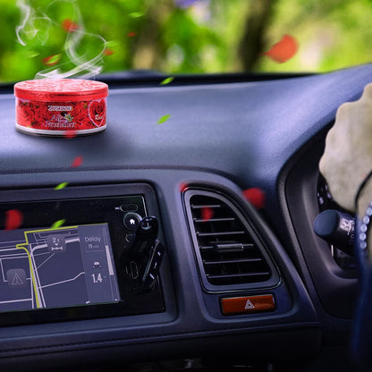 2pcs Home Fraineir Car Fraiseureur Home DÉODORISATION