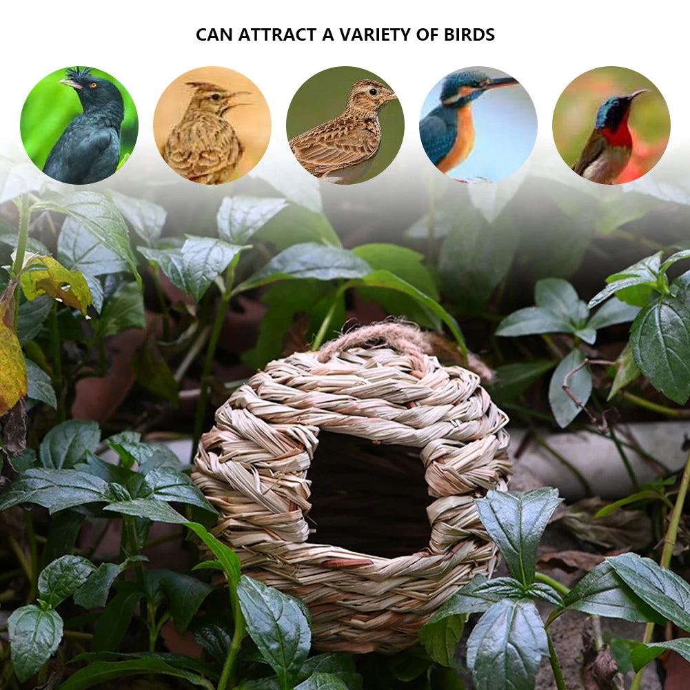 Hummingbird Nest House Birds Nest Bird Cage Hanging Bird House Håndvævet hængt halm Nest Natural Grass Bird til Garden Patio