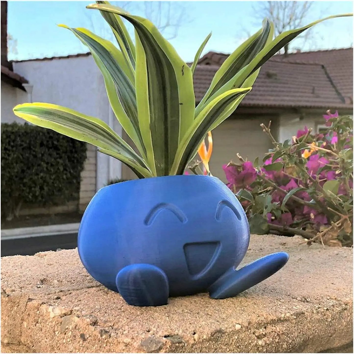 Oddish -Pflanzer Oddish Blumentopf Sukkulente Blumenkinder Pflanzentopf Pflanzer