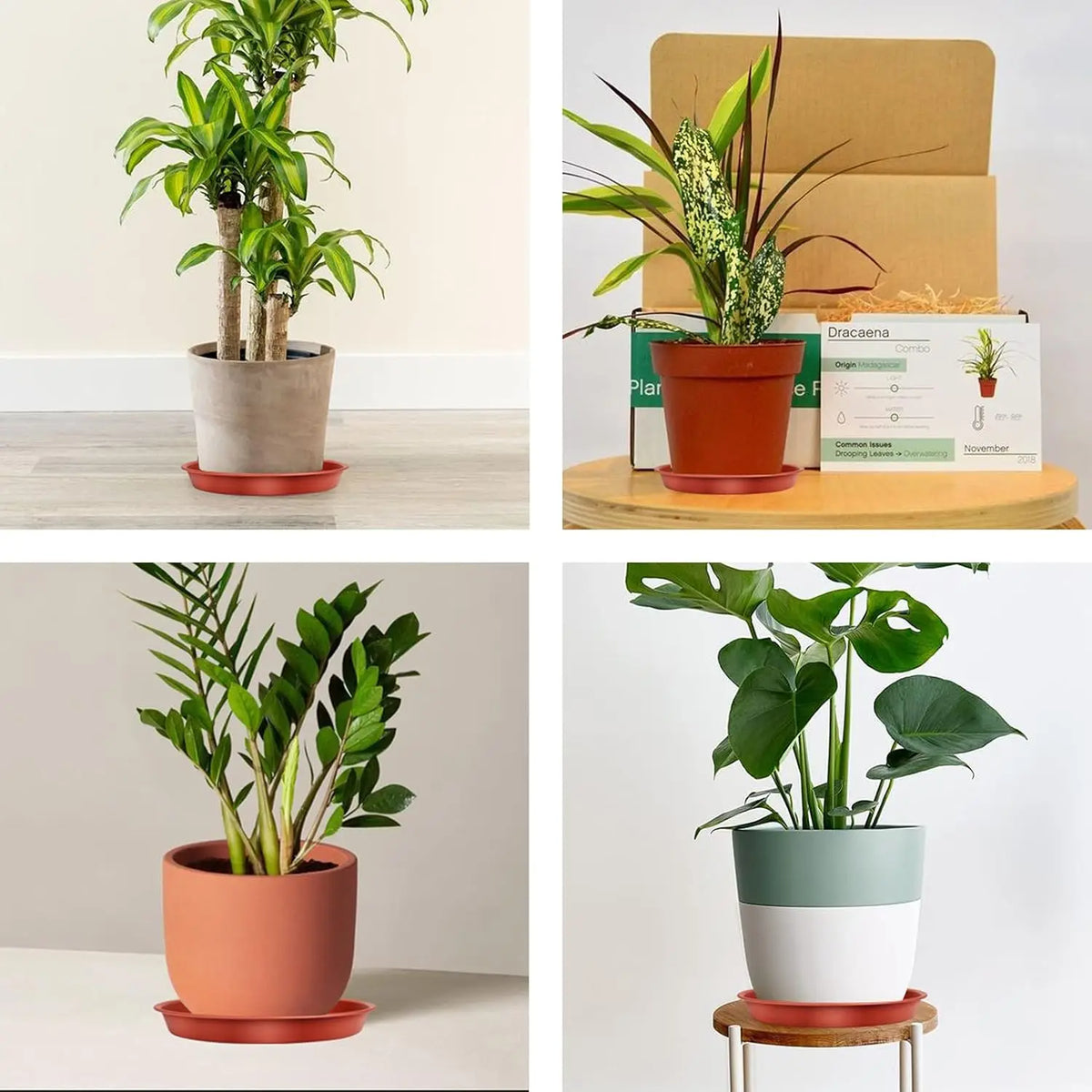 Kit de plato de planta 5pcs 6/8/12 pulgadas goteo redondo dura más gruesas bandejas de plantas de planta para suministros para el jardín para el hogar al aire libre.