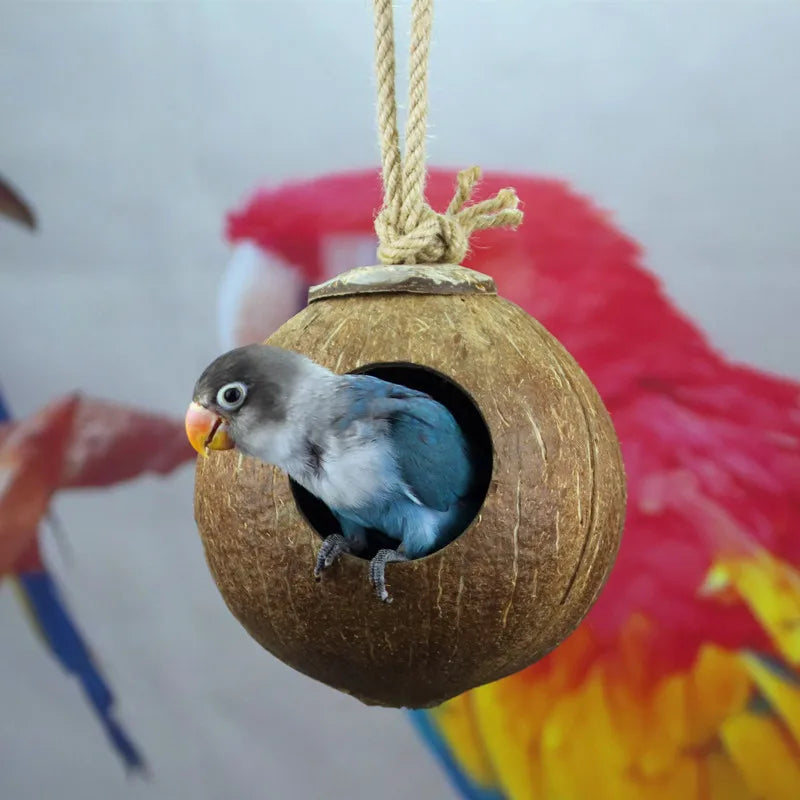 Náttúrulegt kókoshnetuskelfugl búr páfagaukur hús Nesting Hous