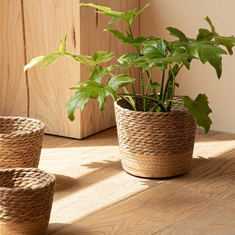 Planteros de canasta Cubierta Cubierta Cesta de almacenamiento Contenedores de plantas de canasta tejida a mano Sembradora de bonsai contenedor