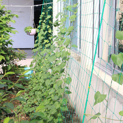 Garden Netting Plant Vine Growing Holder Robust Plant Trellis Support Holder agurk hængende melon klatring netto haveforsyninger