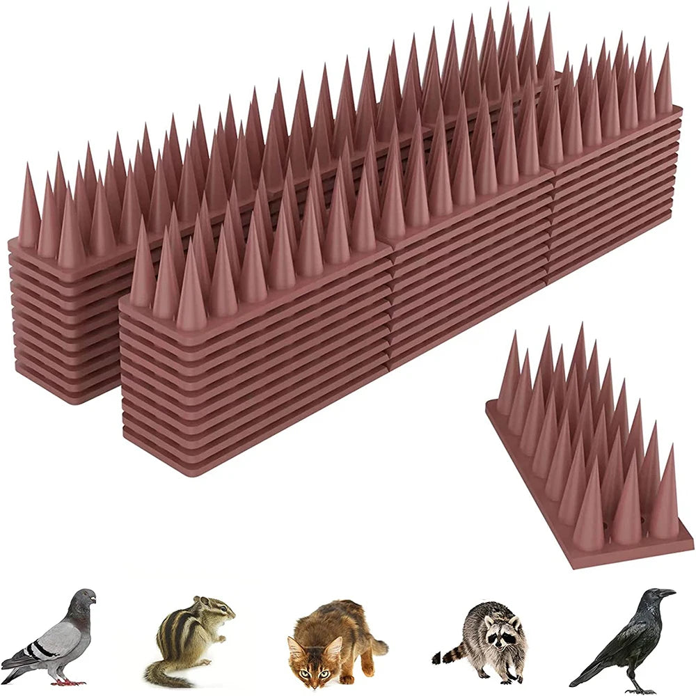1PC Plastové bezpečnostní plot hroty ptáků Repellenty Outdoor Garden Orchard Farms for Hobeons hroty mývalové hroty kočičí hroty