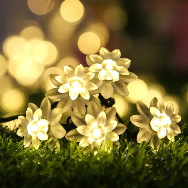 47698733269323|47698733302091|47698733334859|47698733367627