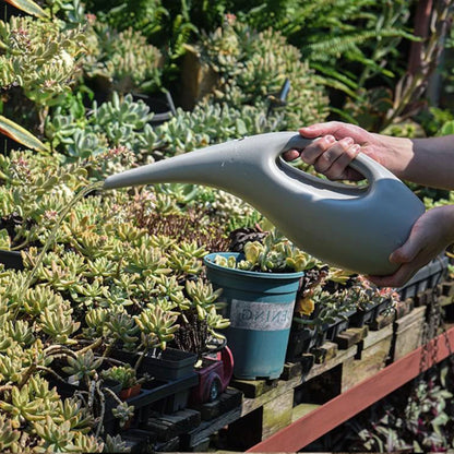 2.5L 1.5L Long -Luz Redeing Can House House Interior Flower Plants Plants Reding Pot Jard Sput Gardening Riesing