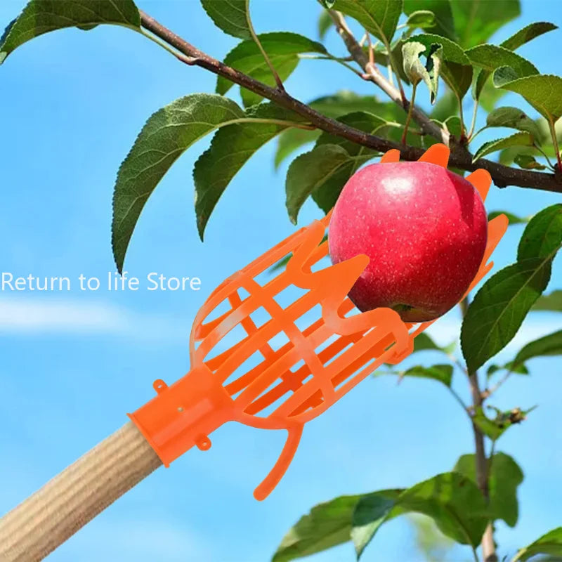 Schermo di frutta con cesto da giardino Strumento di raccolta di frutta in plastica per la raccolta di frutta ad alta quota che raccoglie Loquat che raccoglie lo strumento Bayberry