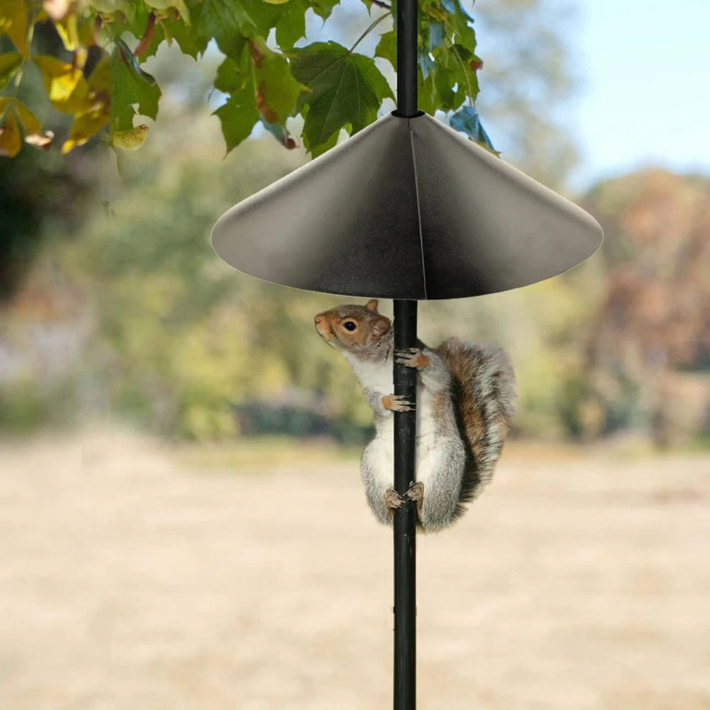 Universal Wrap Around Squirrel Baffle Anti Rust