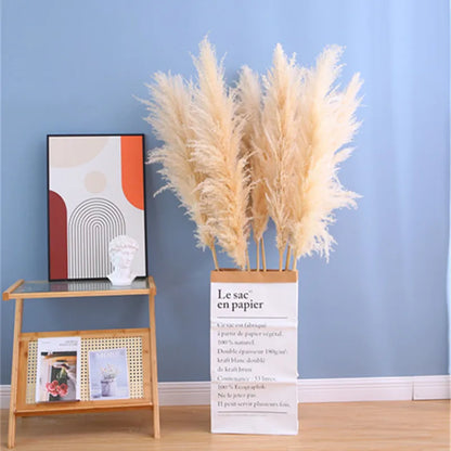 10 copë PAMPAS PAMPAS BAR DECORTION DECORIORE DECORIRE DREJTSIA E DREJTS