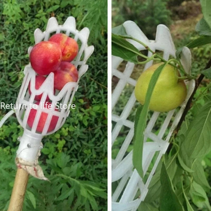 Schermo di frutta con cesto da giardino Strumento di raccolta di frutta in plastica per la raccolta di frutta ad alta quota che raccoglie Loquat che raccoglie lo strumento Bayberry