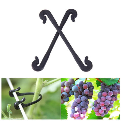 50pcs vinné upevňovací spony spony sponské spony pevné upevňovací nástroj Gronging Grafting Clip Clip Garden Rostlinová rostlina pevný háček držení háku