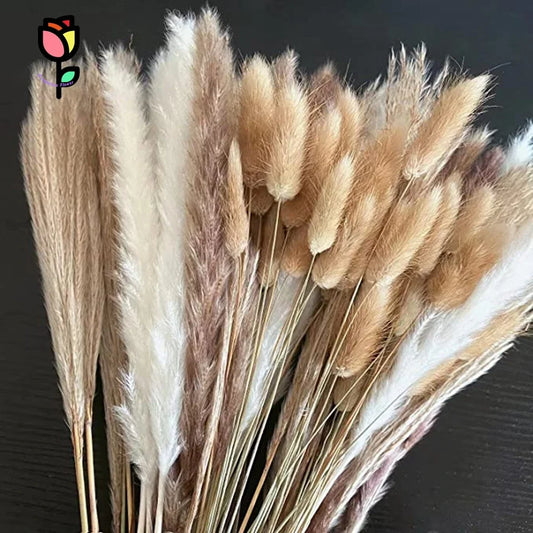 120 stks Gedroogde bloemen Fluffy Pampas Bouquets Boho Floral Wedding Decor Artificial Flower Bunny Tails Home Decoratie accessoires