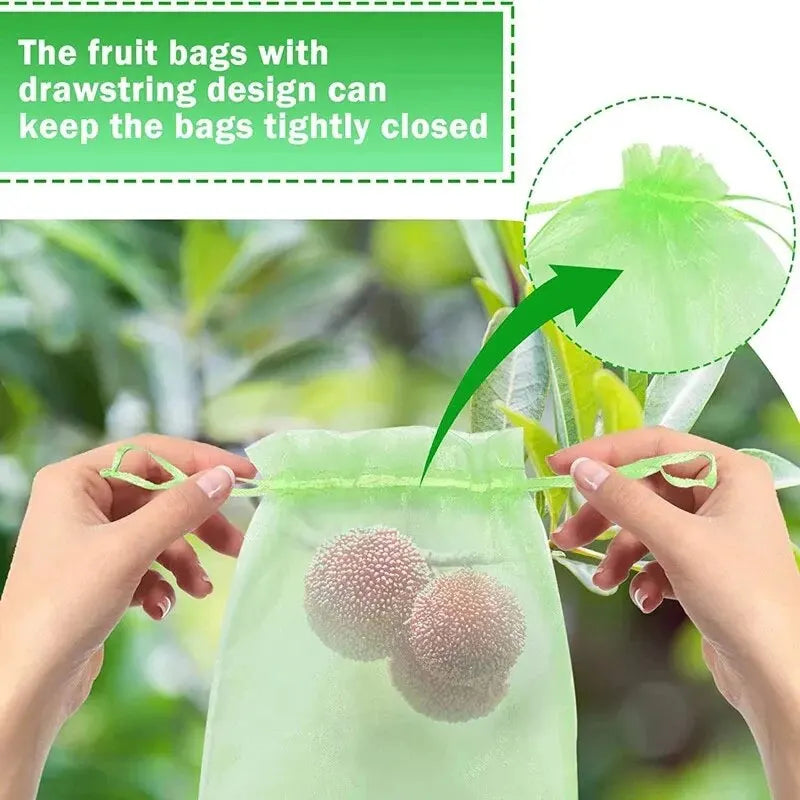 50PCS Pakiet Mouth Organza Gardstring Garden Ptak Proczuj Net Fruit Ochrony Bag Ochrony Torba Rosnące o owocach
