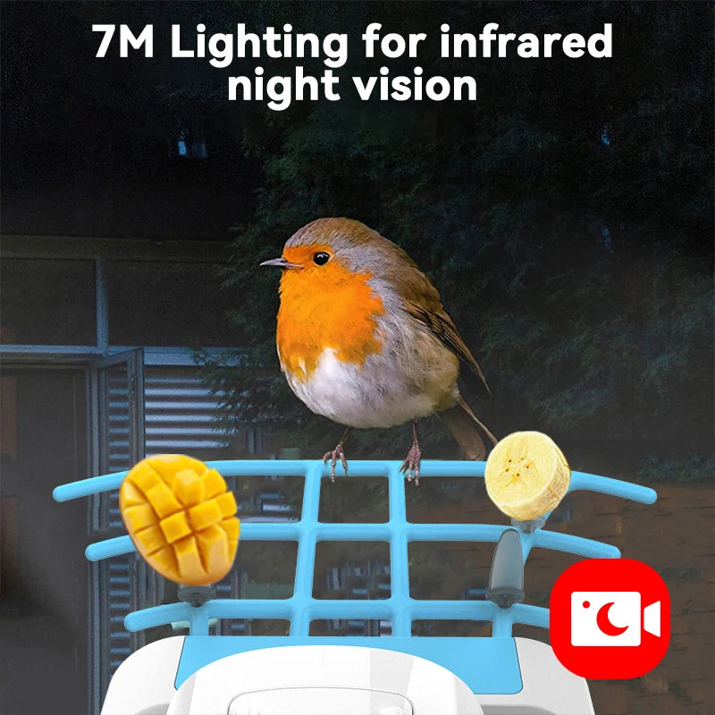 Smart Bird Eighder Camera 2.4G WiFi Wireless Outdoor HD 1080p con solare convocazione per ucciso