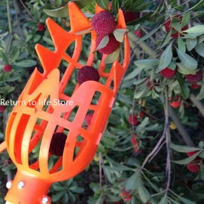 Schermo di frutta con cesto da giardino Strumento di raccolta di frutta in plastica per la raccolta di frutta ad alta quota che raccoglie Loquat che raccoglie lo strumento Bayberry