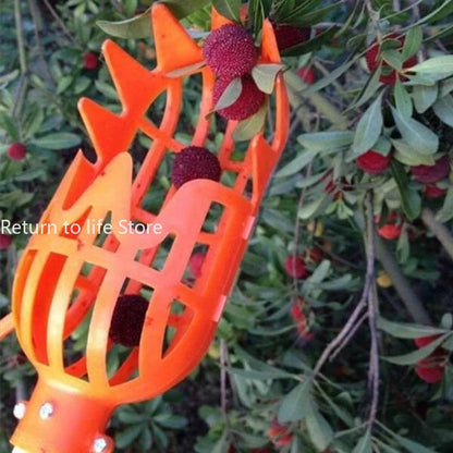Schermo di frutta con cesto da giardino Strumento di raccolta di frutta in plastica per la raccolta di frutta ad alta quota che raccoglie Loquat che raccoglie lo strumento Bayberry