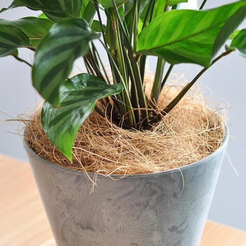 200g přírodní kokosové kokosové husk vlákno květináče Kryt řemesla pro odolnost proti hmyzu Protect Flower Půst.