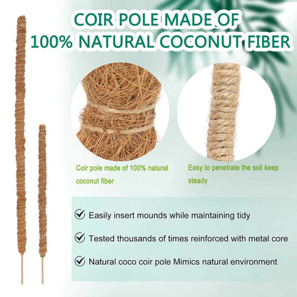 Veleprodaja savijanja Coco Coir Moss Pole biljke kavez za penjanje polja biljka Podrška za biljku Monstera koja bi odrastala prema gore