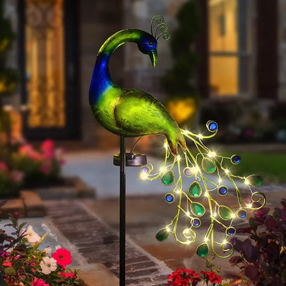47698689950027