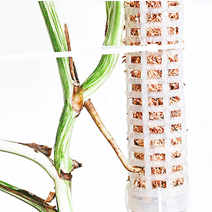 Plant Climbing Column Sphagnum Moss Pole Plants Growing Support Stand Water Revaining Gjødselrik planteforlengelse Polestpinne