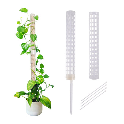 Plant Climbing Column Sphagnum Moss Pole Plants Growing Support Stand Water Revaining Gjødselrik planteforlengelse Polestpinne