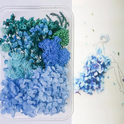 Flores naturais mistas para fabricar capa de celular artesanato de aromaterapia