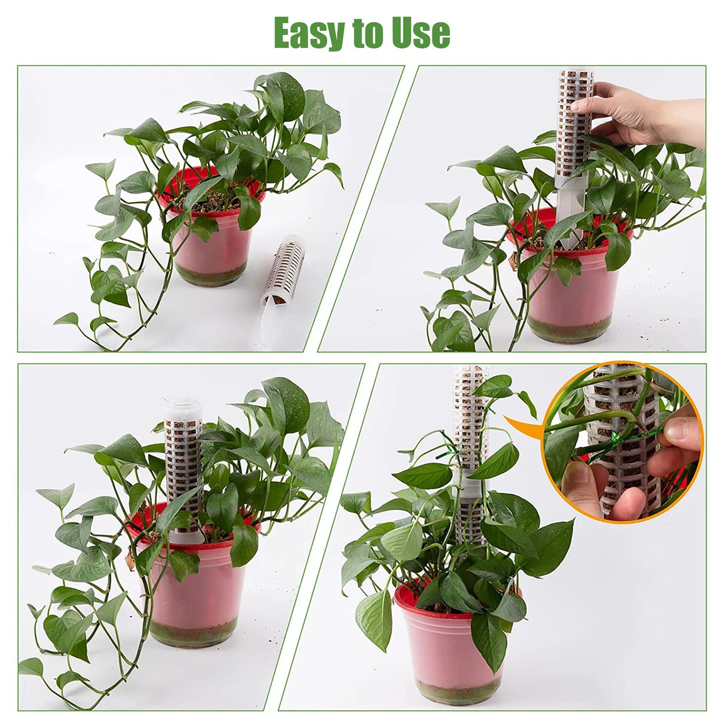 Plant Climbing Column Sphagnum Moss Pole Plants Growing Support Stand Water Revaining Gjødselrik planteforlengelse Polestpinne