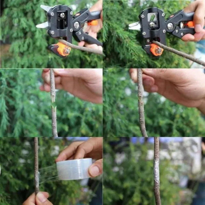 2 În 1 Grafting Pruner SCOSSOR GRĂDING GRĂDING Profesional Filmiu Cutter Secateur Plantă Plantă Fruit Arbore Fructe SCOARPER COPER PERMIT