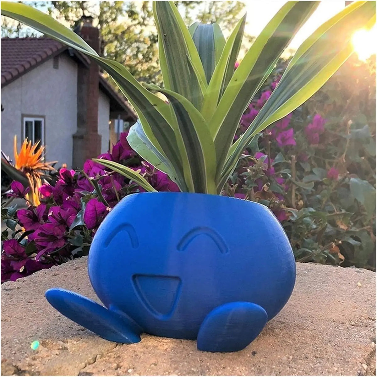 Oddish -Pflanzer Oddish Blumentopf Sukkulente Blumenkinder Pflanzentopf Pflanzer