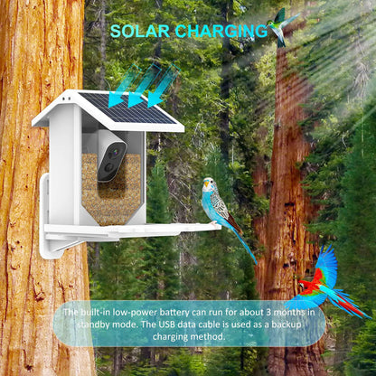 Smart Bird Feeder with Camera Solar Powered Waterproof for Garden Bird Watching Camera for Canary Hummingbirds Orioles Owls Dove