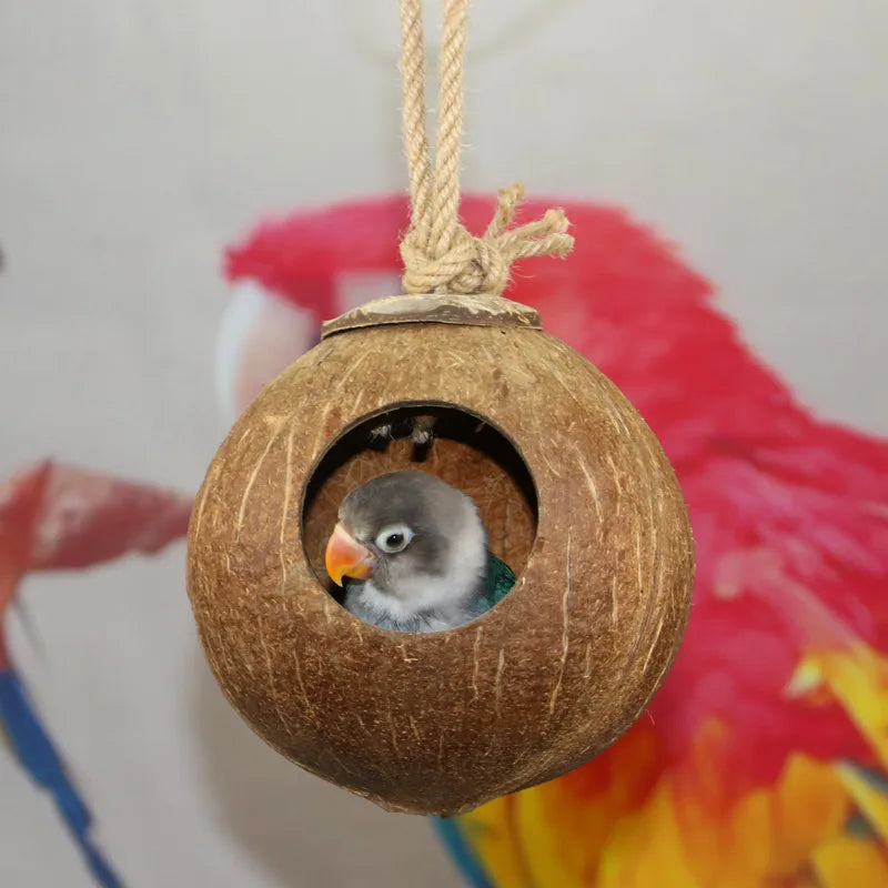 Náttúrulegt kókoshnetuskelfugl búr páfagaukur hús Nesting Hous