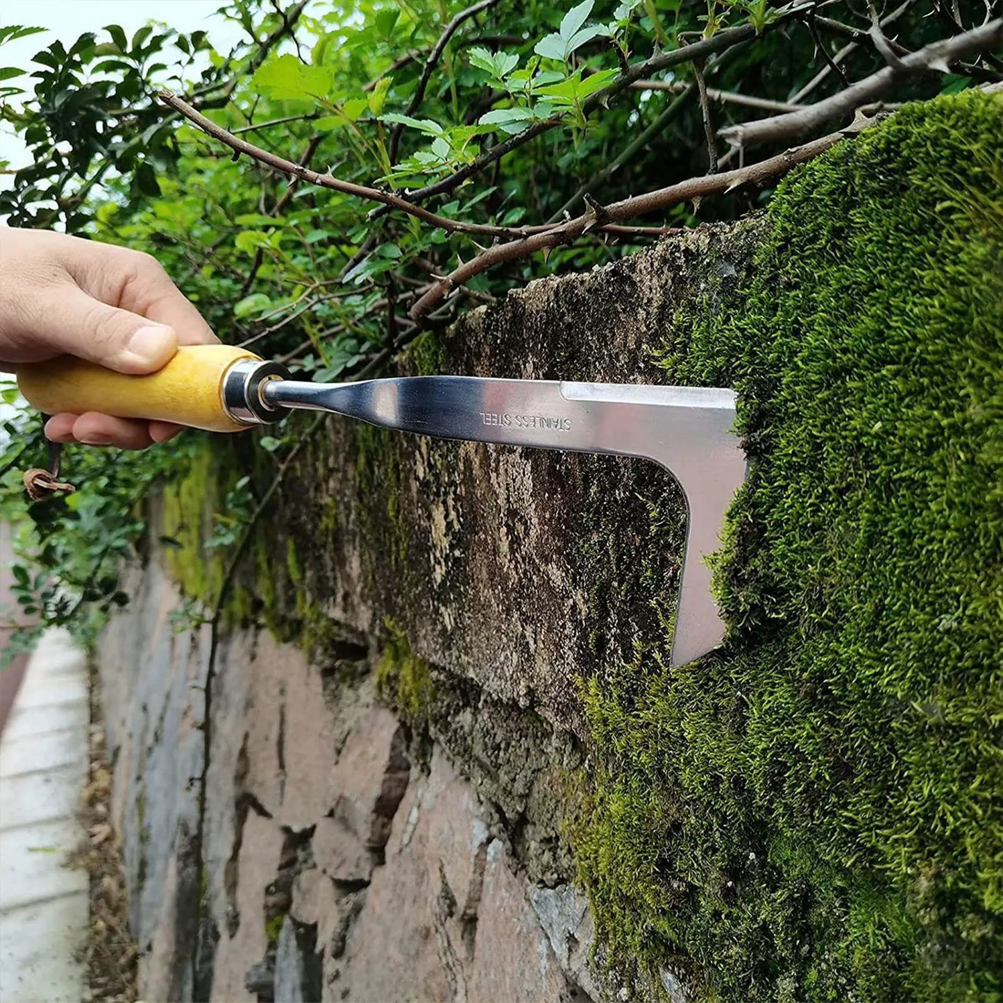 L formet håndskalning Weedter Root Remover Tool Outdoor Weeder Portable Weed Puller Håndteret manuel rustfrit stål haveværktøj