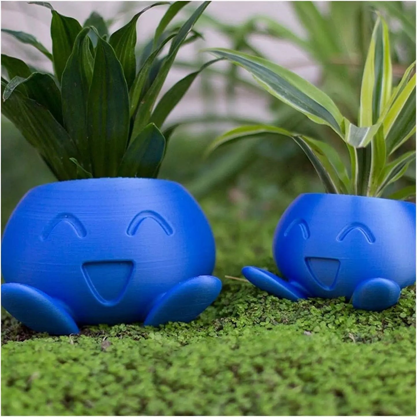 Oddish -Pflanzer Oddish Blumentopf Sukkulente Blumenkinder Pflanzentopf Pflanzer