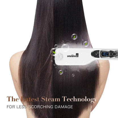 STEAM FLACE HAPREDENTENTER Flash