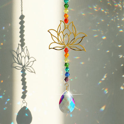 47698720194891